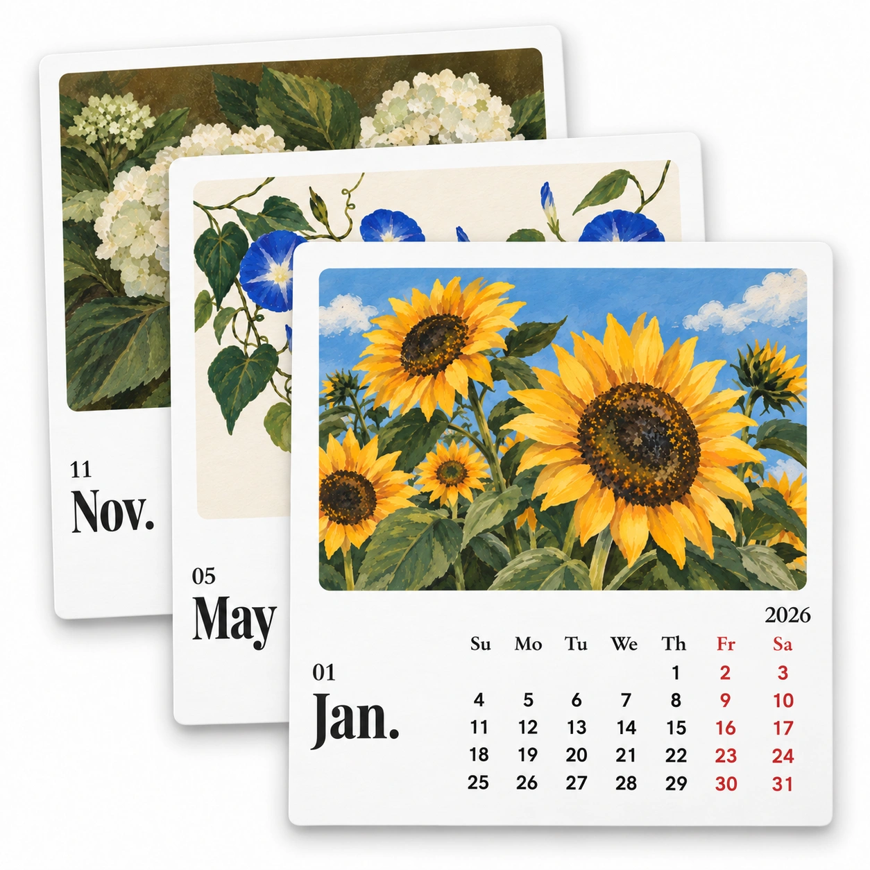 Three botanical calendar stickers stacked on white, featuring January sunflowers, May morning glories and November hydrangeas